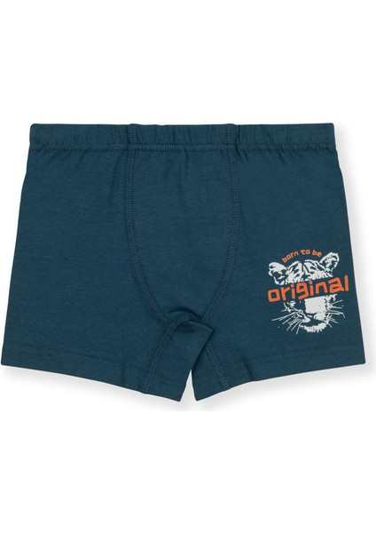 Erkek Çocuk Pamuklu Baskılı Rahat Kesim Likralı Boxer 3'lü Paket 3510 Renkli fiyatları