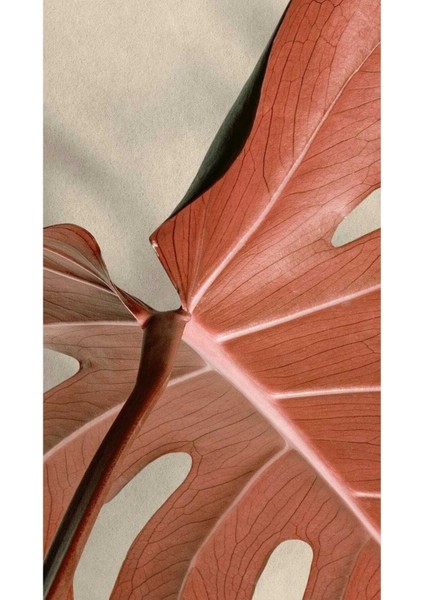 |soft Kırmızı Çiçek Yaprak Kombini Yeni 01 |çerçeveli Cam Tablo 2li Dikey modelleri