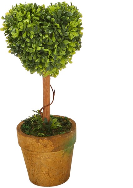 Plastik Bahçe Çim Topu Budama Ağacı Saksısı Kurutulmuş Bitki Düğün Parti Dekoru Için (Kalp Şeklinde) (Yurt Dışından) indirimleri