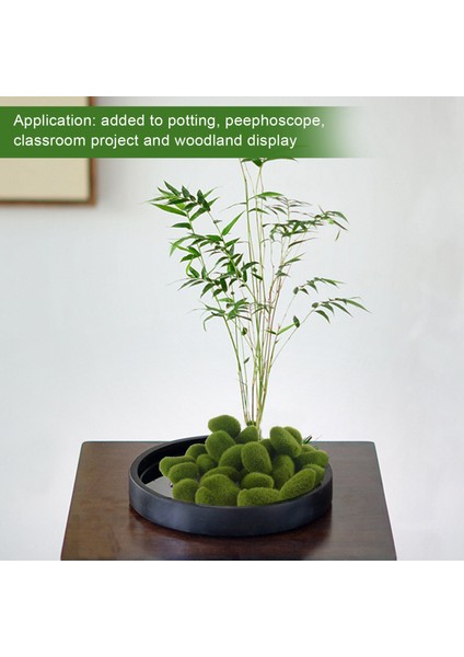 30 Adet Süper Hassas Simülasyon Yosun Köpük Taş Bitki Saç Yosun Topu Bitki Mini Peyzaj Bonsai (Yurt Dışından)