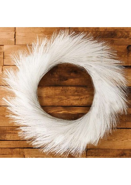 Pampas , 20.86IN Dairesel Duvar Süsleme Yapay Boho Tarzı Modern Şık Ev Dekor Çiftlik Evi (A) (Yurt Dışından) fiyatları