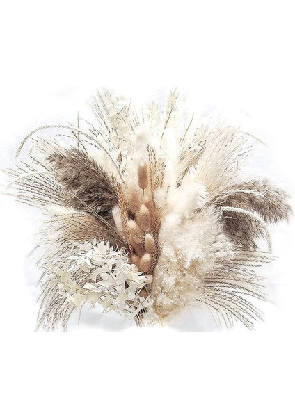 79 Adet Doğal Kurutulmuş Pampas Çim, Boho Dekor Kaık Beyaz Görkemli Çim Büyük Kamış Tavşan Kuyruğu Buğday Sapı Dekoratif (Yurt Dışından)