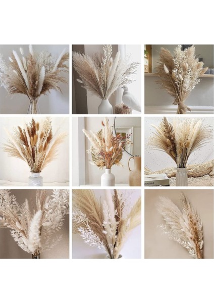 79 Adet Doğal Kurutulmuş Pampas Çim, Boho Dekor Kaık Beyaz Görkemli Çim Büyük Kamış Tavşan Kuyruğu Buğday Sapı Dekoratif (Yurt Dışından) fiyatları