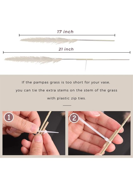 79 Adet Doğal Kurutulmuş Pampas Çim, Boho Dekor Kaık Beyaz Görkemli Çim Büyük Kamış Tavşan Kuyruğu Buğday Sapı Dekoratif (Yurt Dışından) modelleri