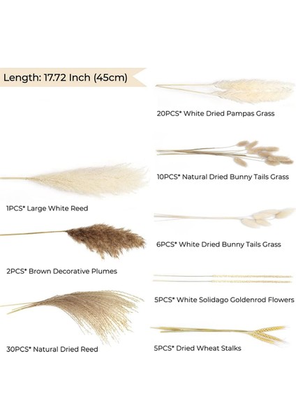 79 Adet Doğal Kurutulmuş Pampas Çim, Boho Dekor Kaık Beyaz Görkemli Çim Büyük Kamış Tavşan Kuyruğu Buğday Sapı Dekoratif (Yurt Dışından) fırsatları