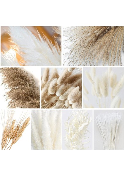 79 Adet Doğal Kurutulmuş Pampas Çim, Boho Dekor Kaık Beyaz Görkemli Çim Büyük Kamış Tavşan Kuyruğu Buğday Sapı Dekoratif (Yurt Dışından) indirimleri