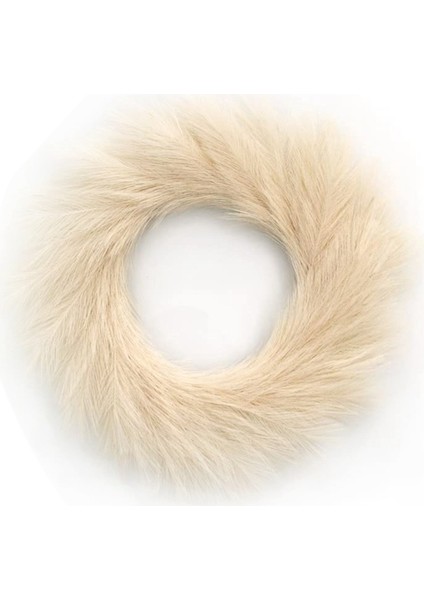 Yapay Pampas Çimi Çelengi, 22 Inç Pampas Çimi Dekoru Ev Boho Sonbahar Dekorasyonu (Bej) (Yurt Dışından)