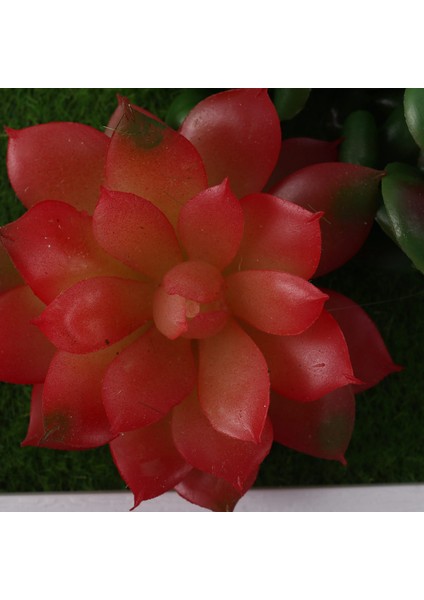 Simülasyon Bitki Fotoğraf Çerçevesi Plastik Yapay Çiçek Açık Bahçe Balkon Sundurma Için Çerçeve Duvar Dekoru ile (B2) (Yurt Dışından) fırsatları