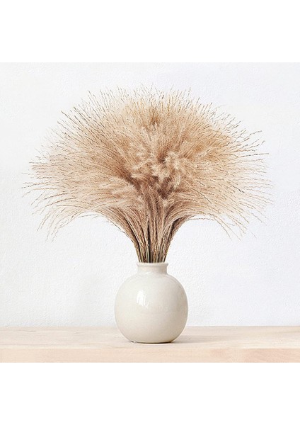 60 Adet Pampas Otu, Kaık Pampas Otu Dekoru. Elle Seçilmiş Kurutulmuş Pampas Otu ve Pompass Otu Dalları Doğal (Yurt Dışından) fiyatları