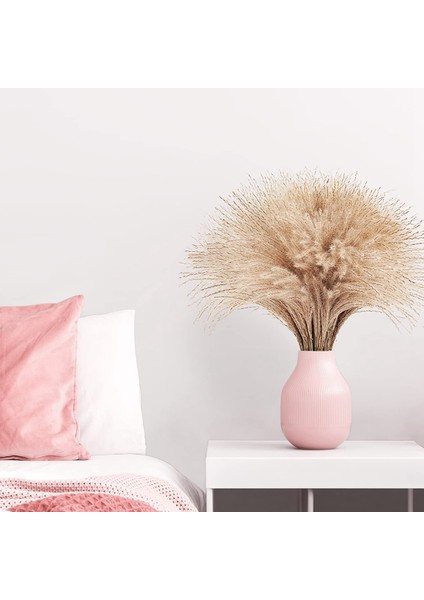 60 Adet Pampas Otu, Kaık Pampas Otu Dekoru. Elle Seçilmiş Kurutulmuş Pampas Otu ve Pompass Otu Dalları Doğal (Yurt Dışından) fırsatları