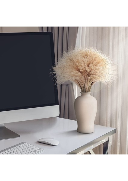 60 Adet Pampas Otu, Kaık Pampas Otu Dekoru. Elle Seçilmiş Kurutulmuş Pampas Otu ve Pompass Otu Dalları Doğal (Yurt Dışından) indirimleri