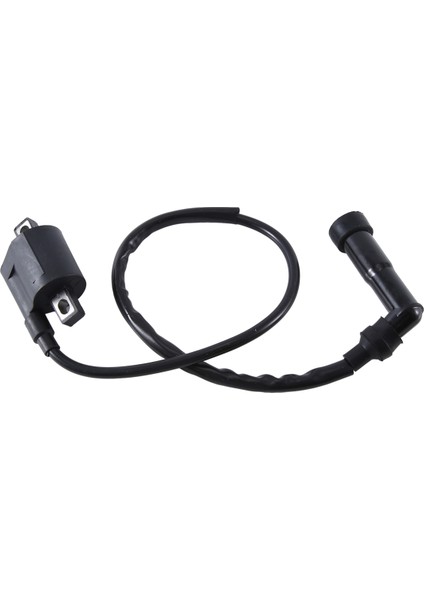 Yamaha YFM350X YFM660R Grizzly 80 LTF500F Için Yüksek Gerilim Paketi Ateşleme Bobini Oto Malzemeleri (Yurt Dışından)