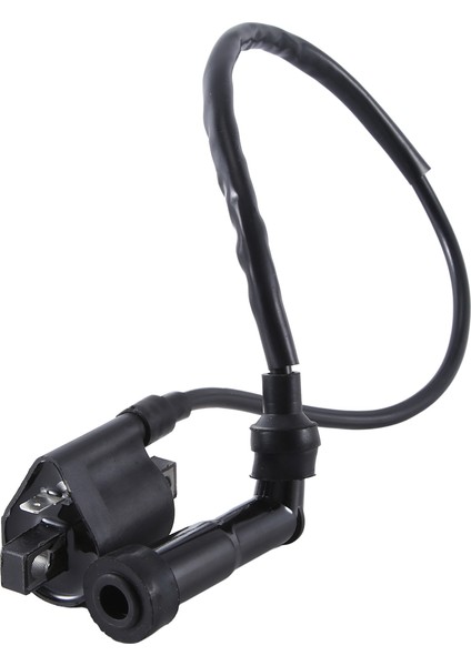 Yamaha YFM350X YFM660R Grizzly 80 LTF500F Için Yüksek Gerilim Paketi Ateşleme Bobini Oto Malzemeleri (Yurt Dışından) indirimleri