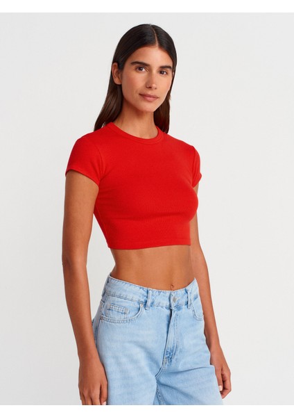31810 Bisiklet Yaka Crop T-Shirt-Bej