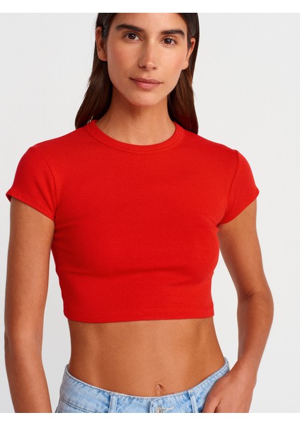 31810 Bisiklet Yaka Crop T-Shirt-Bej modelleri
