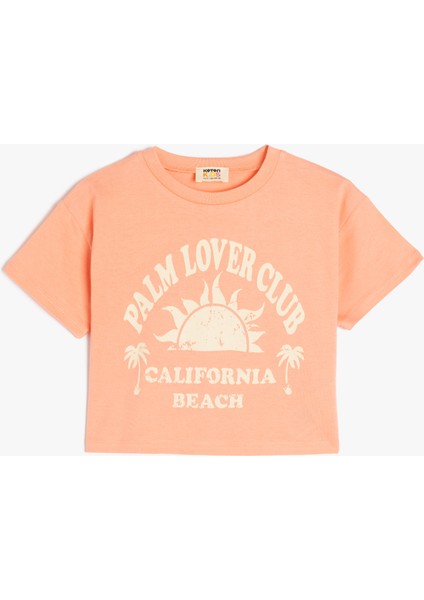 Bisiklet Yaka Kısa Kollu Pamuklu Crop Tişört