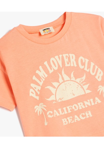 Bisiklet Yaka Kısa Kollu Pamuklu Crop Tişört modelleri