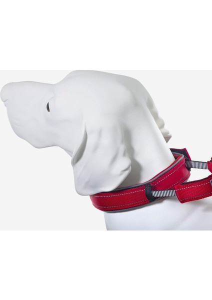 Boyun Tasması Kırmızı Renkli L 49 Cm-59 cm