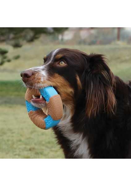 Kong Core Strength Halka Şeklinde Köpek Oyuncağı Small fiyatları