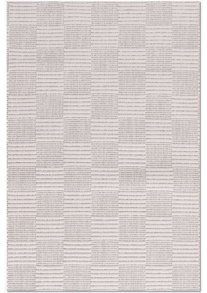 Crea Halı Epsilon EP08K Hav Toz Vermez Sisal Halı Kolay Temizlenen Hasır Dokulu Modern Halı