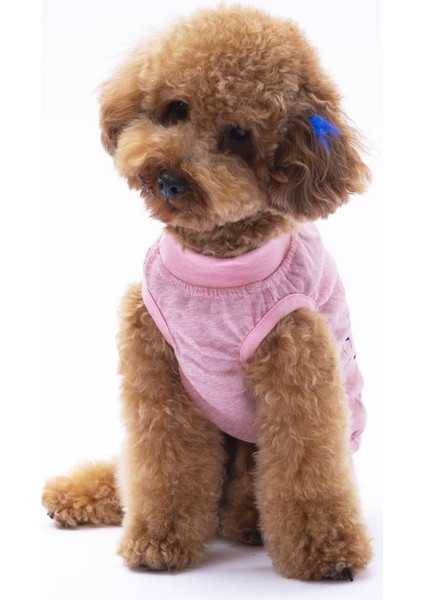 Pembe Jerry Tişört - Kedi Köpek Kıyafeti-Organik Pamuklu Penye Tişört