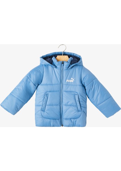 Minicats Hd Padded.24