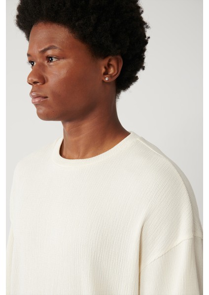 Erkek Ekru Bisiklet Yaka Jakarlı Basic T-shirt A41y1311