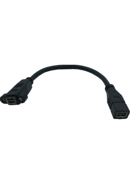 Mini Displayport Dişi Soket Panel Montajlı Mini Displayport Dişi Uzatma Kablosu Mini Dp Dişi Minidp Dişi Kablo 0.3 M (Yurt Dışından) indirimleri