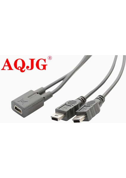 1 Adet Mini USB 2.0 1 Dişi 2x Mini USB Erkek Y Splitter Adaptörü Şarj Aleti Kablosu Dönüştürücü Kablosu 1ft (Yurt Dışından)