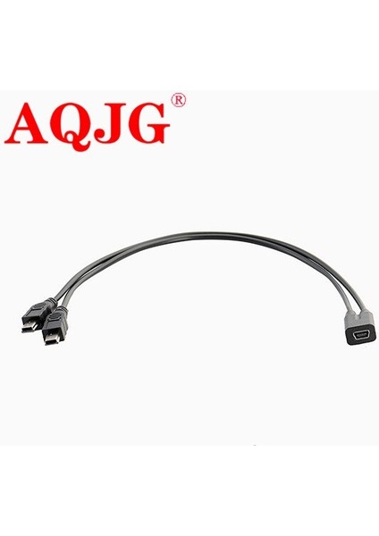 1 Adet Mini USB 2.0 1 Dişi 2x Mini USB Erkek Y Splitter Adaptörü Şarj Aleti Kablosu Dönüştürücü Kablosu 1ft (Yurt Dışından) fırsatları