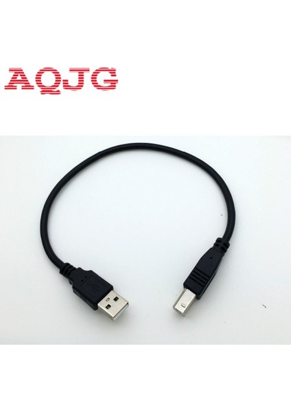 30CM USB 2.0 Tip A Erkek B Erkek (Am'den Bm'ye) Adaptör Dönüştürücü Epson Yazıcı Için Kısa Veri Kablosu Kablosu Siyah (Yurt Dışından) fiyatları