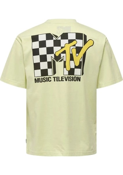 Erkek O Yaka T-Shirt 22029523