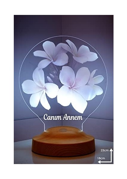 Canım Annem Plumeria Çiçeği Hediyesi 3D LED Lamba