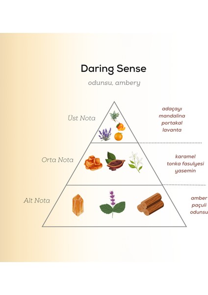Daring Sense EDP Erkek Parfüm 100ml | Odunsu ve Amber | Paçuli, Karamel, Tonka, Portakal, Adaçayı, Lavanta fırsatları