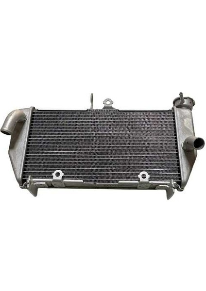 R25 Radyatör Orijinal 2015-2018