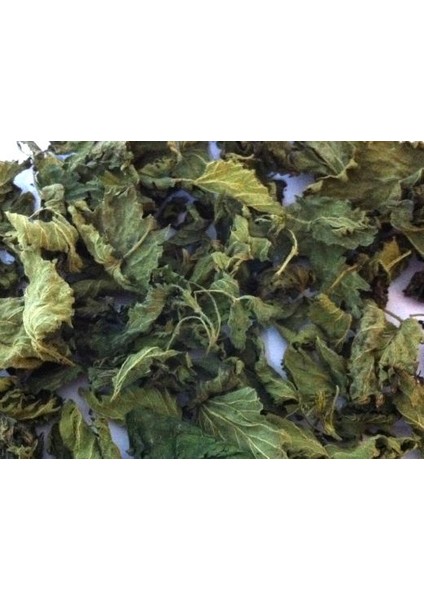 Isırgan Otu 100 gr Organi?k ( Doğal Kurutulmuş, Elenmiş, Katkısız )