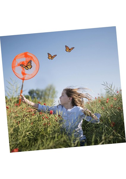 Akvaryum Kepçesi Havuz Kepçesi Kelebek Kuş Balık Yakalama Kepçesi fırsatları