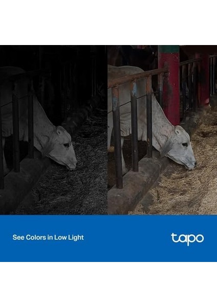 Tapo C320WS, 2k 4mp Dış Mekan Wi-Fi/ethernet Güvenlik Kamerası, Hareket Algılama, IP66 Su Geçirmez, 30M Starlight Gece Görüşü, Çift Yönlü Ses, Bulut/yerel Depolama, Sesli ve Işıklı Alarm