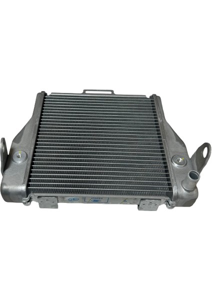 Forza 250 Radyatör Orijinal 2021-2023