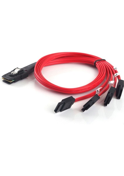 Sas - 4 Sata Kablo Çıkışı Sas Erkek SFF-8087 - 4 Sata Dişi Kablo (Yurt Dışından)