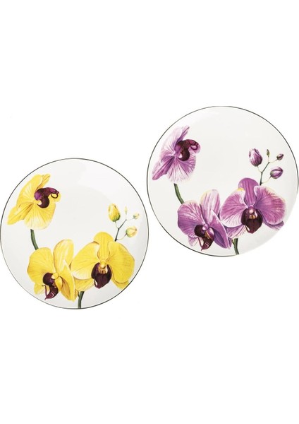 New Bloom 4'lü Pasta Tabağı 20cm