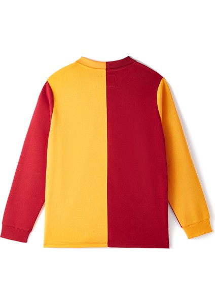 Galatasaray 1925 Retro Forma E251158 fiyatları