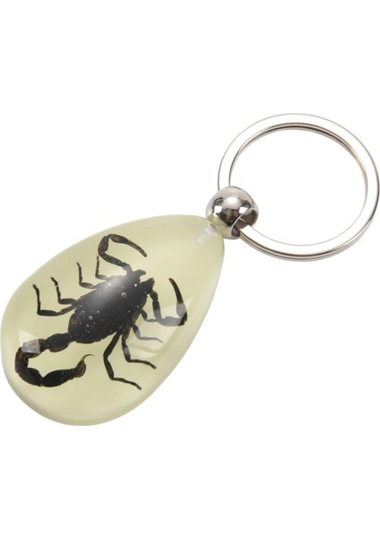 Karanlıkta Parlayan Gerçek Böcek Anahtarlık (Siyah) (Yurt Dışından) fırsatları