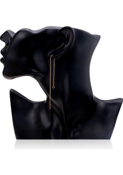 10 Adet Paslanmaz Çelik Renk Uzun Zincir Damla Etiket Dangle Küpe Kulak Hattı Diy Takı Yapımı Için (Yurt Dışından) fiyatları