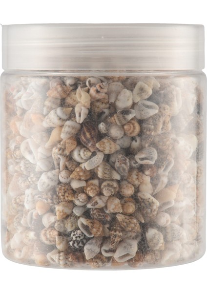 Yaklaşık 1300-1500 Minik Deniz Kabuğu Okyanus Plaj Spiral Deniz Kabukları Craft Charms Mum Yapımı Için 7-12MM, Ev Dekorasyon, Plaj Teması Parti Düğün Dekor, Balık (Yurt Dışından)