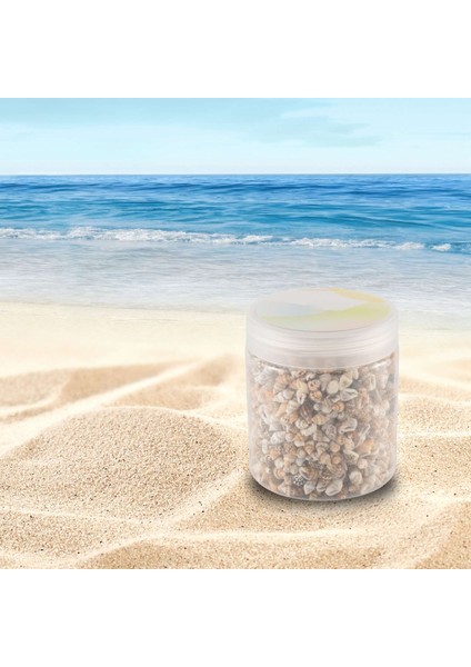 Yaklaşık 1300-1500 Minik Deniz Kabuğu Okyanus Plaj Spiral Deniz Kabukları Craft Charms Mum Yapımı Için 7-12MM, Ev Dekorasyon, Plaj Teması Parti Düğün Dekor, Balık (Yurt Dışından) fiyatları