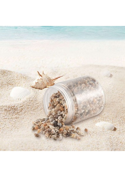 Yaklaşık 1300-1500 Minik Deniz Kabuğu Okyanus Plaj Spiral Deniz Kabukları Craft Charms Mum Yapımı Için 7-12MM, Ev Dekorasyon, Plaj Teması Parti Düğün Dekor, Balık (Yurt Dışından) modelleri