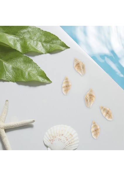 Yaklaşık 1300-1500 Minik Deniz Kabuğu Okyanus Plaj Spiral Deniz Kabukları Craft Charms Mum Yapımı Için 7-12MM, Ev Dekorasyon, Plaj Teması Parti Düğün Dekor, Balık (Yurt Dışından) fırsatları