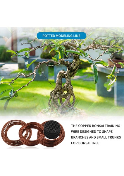 Saksı Delikli Örgü Pedli Bonsai Tel Seti, Kit 20 Plastik Mat Bronz Için Bakır Eğitimi (Yurt Dışından) fiyatları
