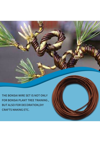 Saksı Delikli Örgü Pedli Bonsai Tel Seti, Kit 20 Plastik Mat Bronz Için Bakır Eğitimi (Yurt Dışından) modelleri